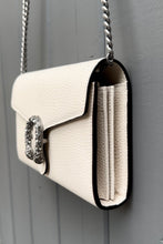 Load image into Gallery viewer, GUCCI Dionysus Mini Chain Leather Bag
